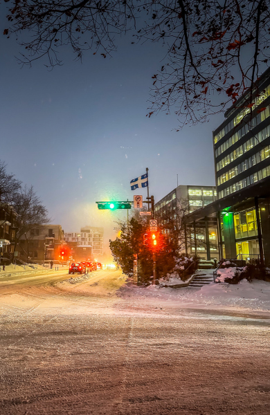 Chemin-Sainte-Foy-Chouinard