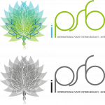 logo ipsb definitif