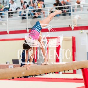 2026_setesamedimatin_163