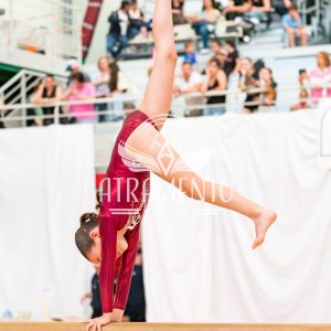 2026_setesamedimatin_589